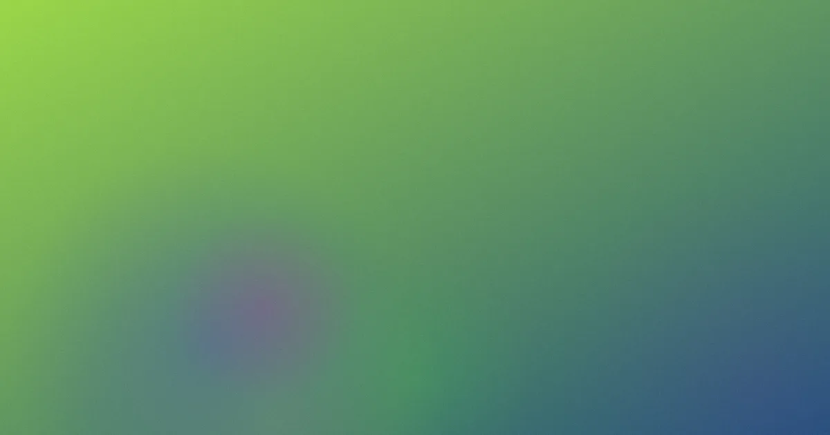 贝鲁奇怎么用：我的参考法